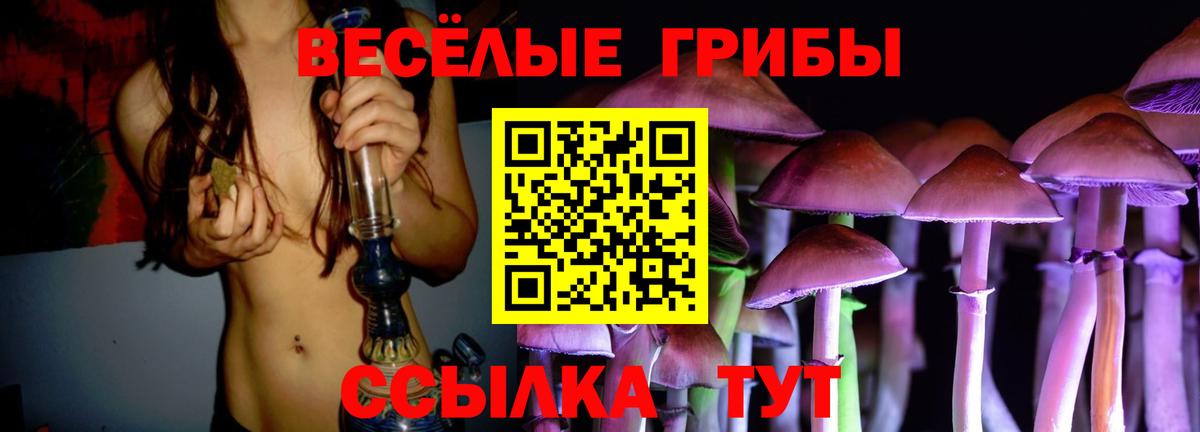 Галлюциногенные грибы мухоморы Рассказово