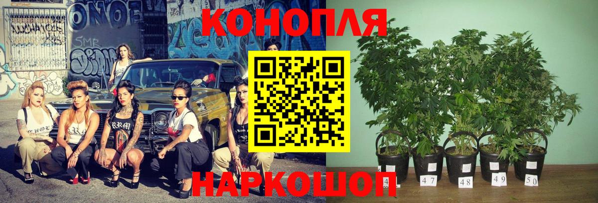 МАРИХУАНА индика Рассказово